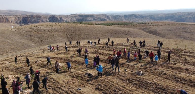 1536_10430_618d251745db3