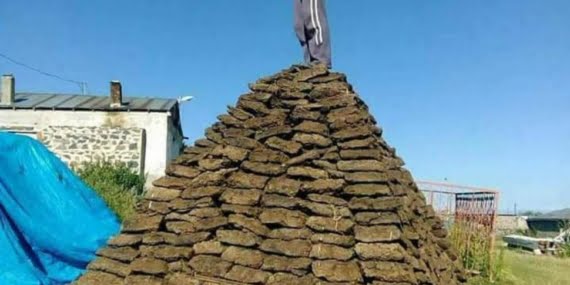 Sergîn Menqûler Borsesî û mîras