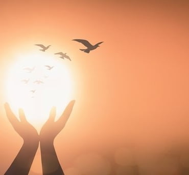 650x344-hayat-es-anlamlisi-nedir-hayat-kelimesinin-es-anlamlisi-olan-sozcuk-1617785711527