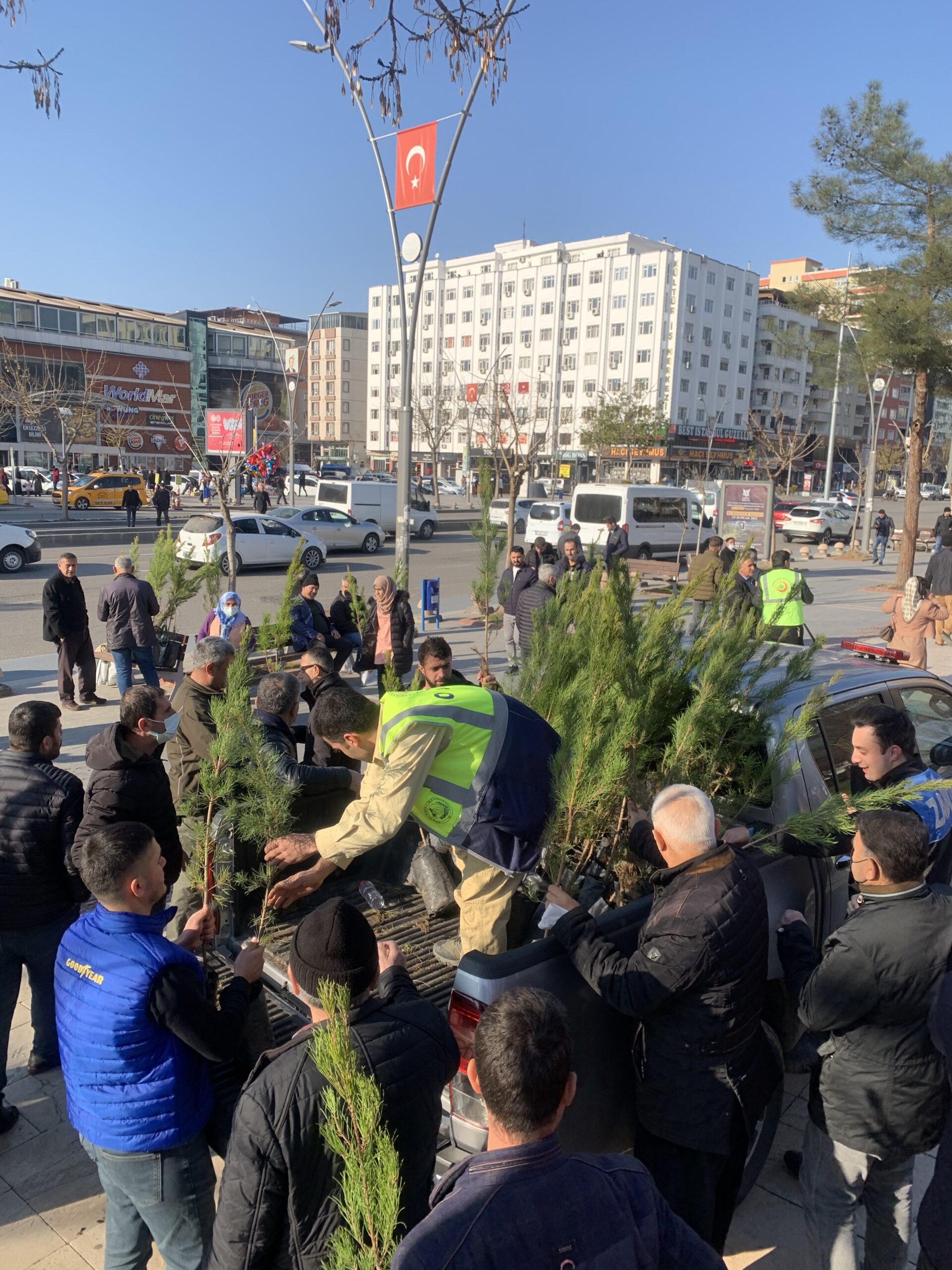 Batman'da 2022 adet fidan dağıtıldı