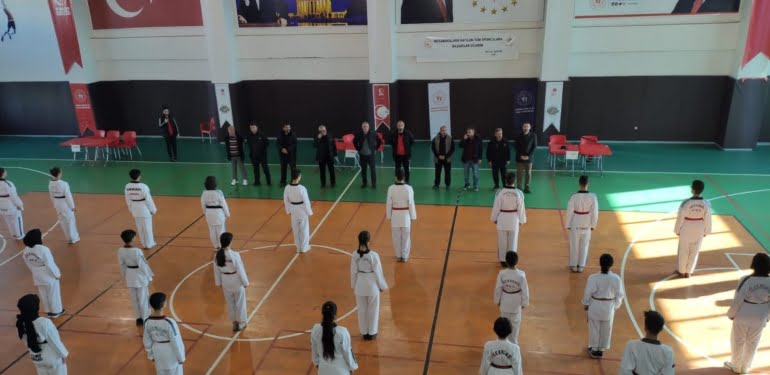 TAEKWONDO 1
