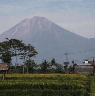 thumbs_b_c_6ecbaff5e74bb9b651d26b3a788248f0