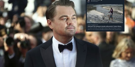 Ekmen’den Leonardo Dicaprio’ya: Batman’a gel