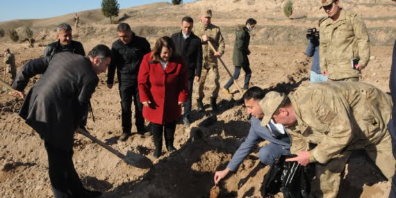 Batı Raman’da fıstık dikimi gerçekleştirildi