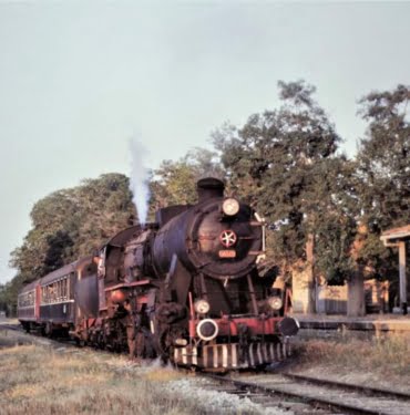 WhatsApp Image 2022-01-27 at 19.09.03 (1)