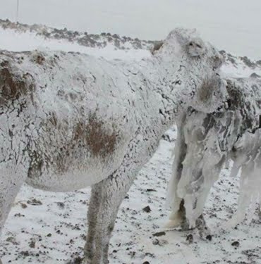 bCqwK8p7kPIE62Atnuje3xarUpUJjkodNVOUKcGA