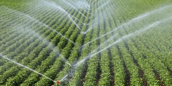 Bakan duyurdu: Bireysel Sulama Sistemleri hibe desteği başvuruları başladı