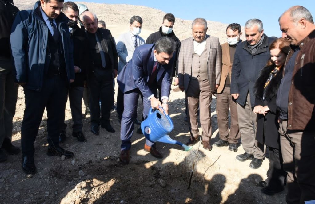 Hasankeyf'e Aydın inciri dikildi