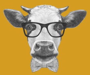 portrait-cow-glasses-bow-tie-hand-drawn-illustration-67094059