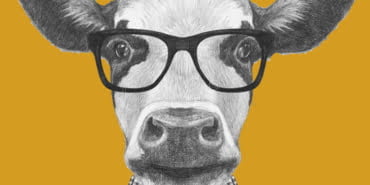 portrait-cow-glasses-bow-tie-hand-drawn-illustration-67094059