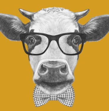 portrait-cow-glasses-bow-tie-hand-drawn-illustration-67094059