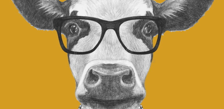 portrait-cow-glasses-bow-tie-hand-drawn-illustration-67094059