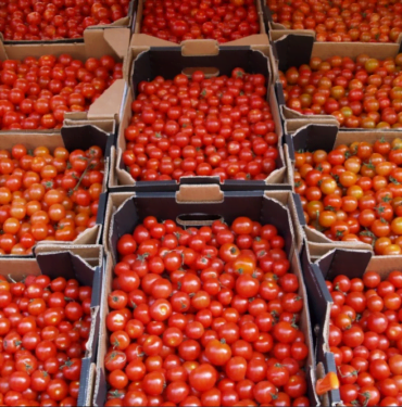 U9000b64d25184668a51d2ff683d92c199