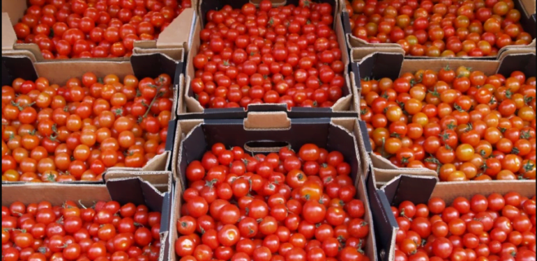 U9000b64d25184668a51d2ff683d92c199