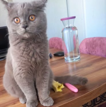 WhatsApp Image 2022-02-21 at 16.50.46