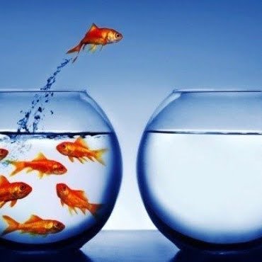 farkindalik-liderlik (1)