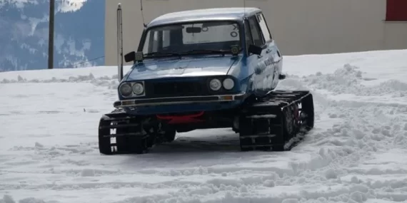 Palet taktığı torosu 60 binden satışa çıkardı