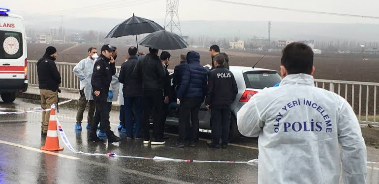 photo5798478206817384961