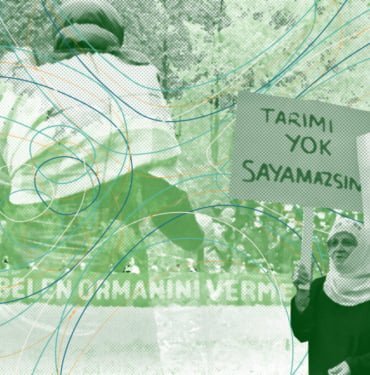 DK-ekoloji-1-1200x0-c-default