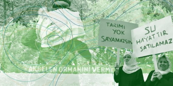 Ekoloji mücadelesinde bölgesel ayrım Ekoloji mücadelesinde bölgesel ayrım