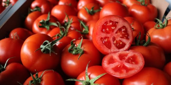 Rusya, Türkiye’den daha fazla domates alma kararı aldı