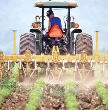 tarım çiftçi