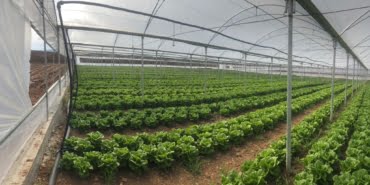 WhatsApp Image 2022-04-14 at 18.28.36 (1)