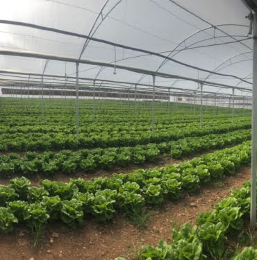 WhatsApp Image 2022-04-14 at 18.28.36 (1)