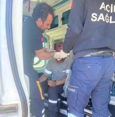 WhatsApp Image 2022-04-21 at 17.46.05