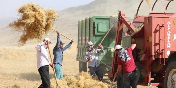 Tarım Kanunu Tarım Kanunu