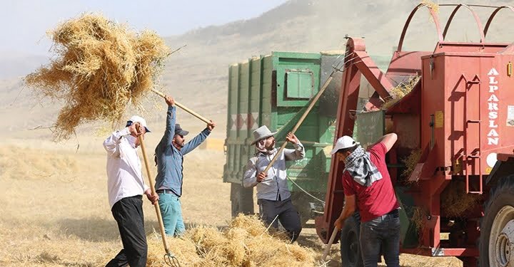 tarmı kanunu