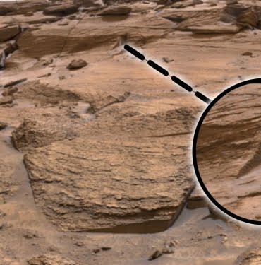 130520221046372926211