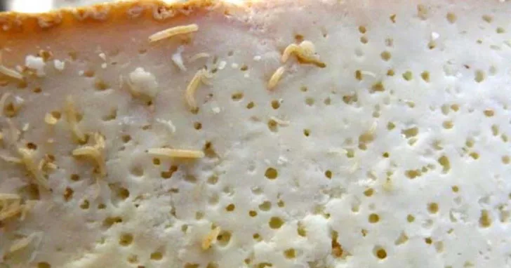 'Dünyanın en tehlikeli peyniri'ni satmanın cezası 60 bin dolar