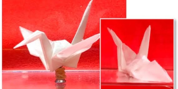 Japonlar su geçirmez kağıt yaptı