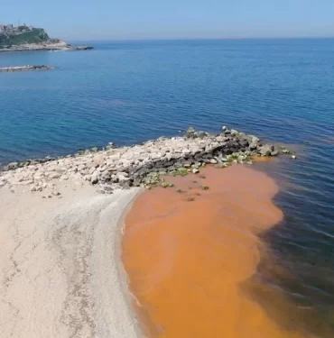 TJuQwo3W5E2pKLwwWKK0lg