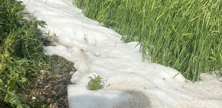 WhatsApp Image 2022-05-06 at 12.51.48