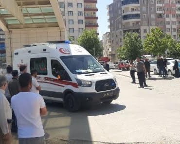 WhatsApp Image 2022-05-31 at 15.03.54