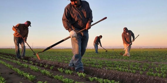 Çiftçiler, 20 yıllık borcun yarısını son bir yılda yaptı