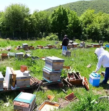 s-b478f7302ffe30c72c53897dc71e791131d9bc73