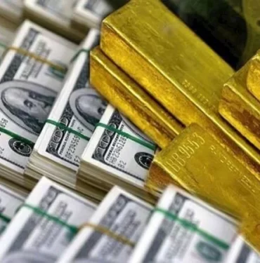 8758831d-a699-4571-876c-321077a4ded7-Altındoviz1