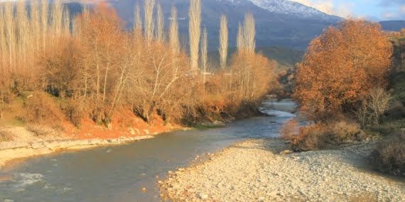 Batman Barosu Zorê Vadisi için verilen ‘ÇED olumlu’ raporunu yargıya taşıdı
