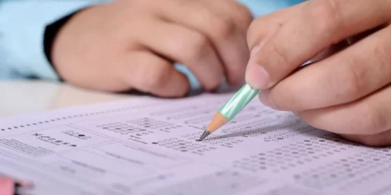 LGS sonuçları açıklandı: İşte sınav sonucu sorgulama ekranı