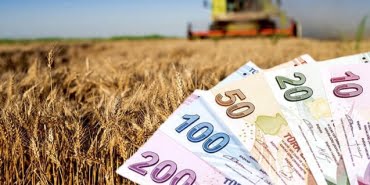 tarimsal destek ödemeleri tarım çiftçi
