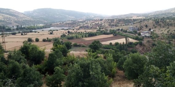 Neydiler, ne oldular? Neydiler, ne oldular?