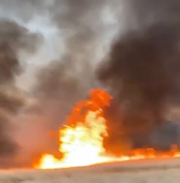 WhatsApp Image 2022-07-05 at 11.00.09