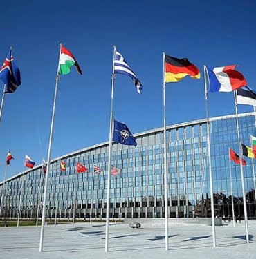 litvanya-isvec-ve-finlandiya-nin-nato-ya-katilimini-onayladi-1042242-5