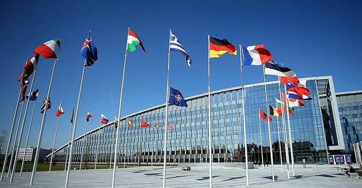 litvanya-isvec-ve-finlandiya-nin-nato-ya-katilimini-onayladi-1042242-5