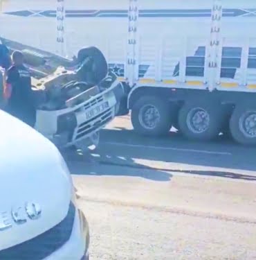 WhatsApp Image 2022-08-05 at 10.37.08