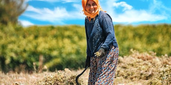 Emek ve emektar Emek ve emektar