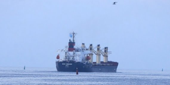 Tahıl yüklü 5 gemi daha Ukrayna’dan yola çıktı